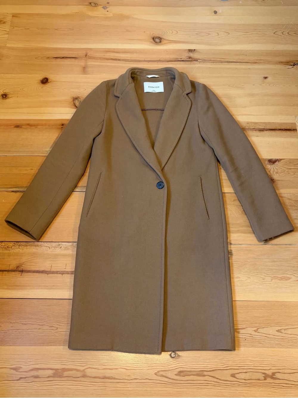 Aritzia Stedman Coat